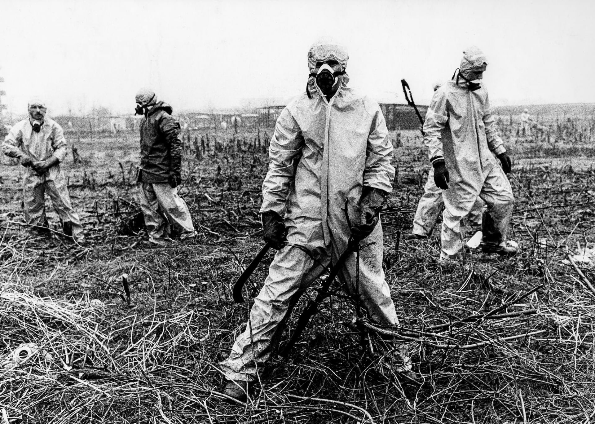 SEVESO 1976-2026 LA NUBE DI DIOSSINA. LA MEMORIA DEL TERRITORIO E I DIRITTI TUTELATI