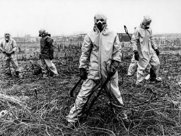 SEVESO 1976-2026 LA NUBE DI DIOSSINA. LA MEMORIA DEL TERRITORIO E I DIRITTI TUTELATI